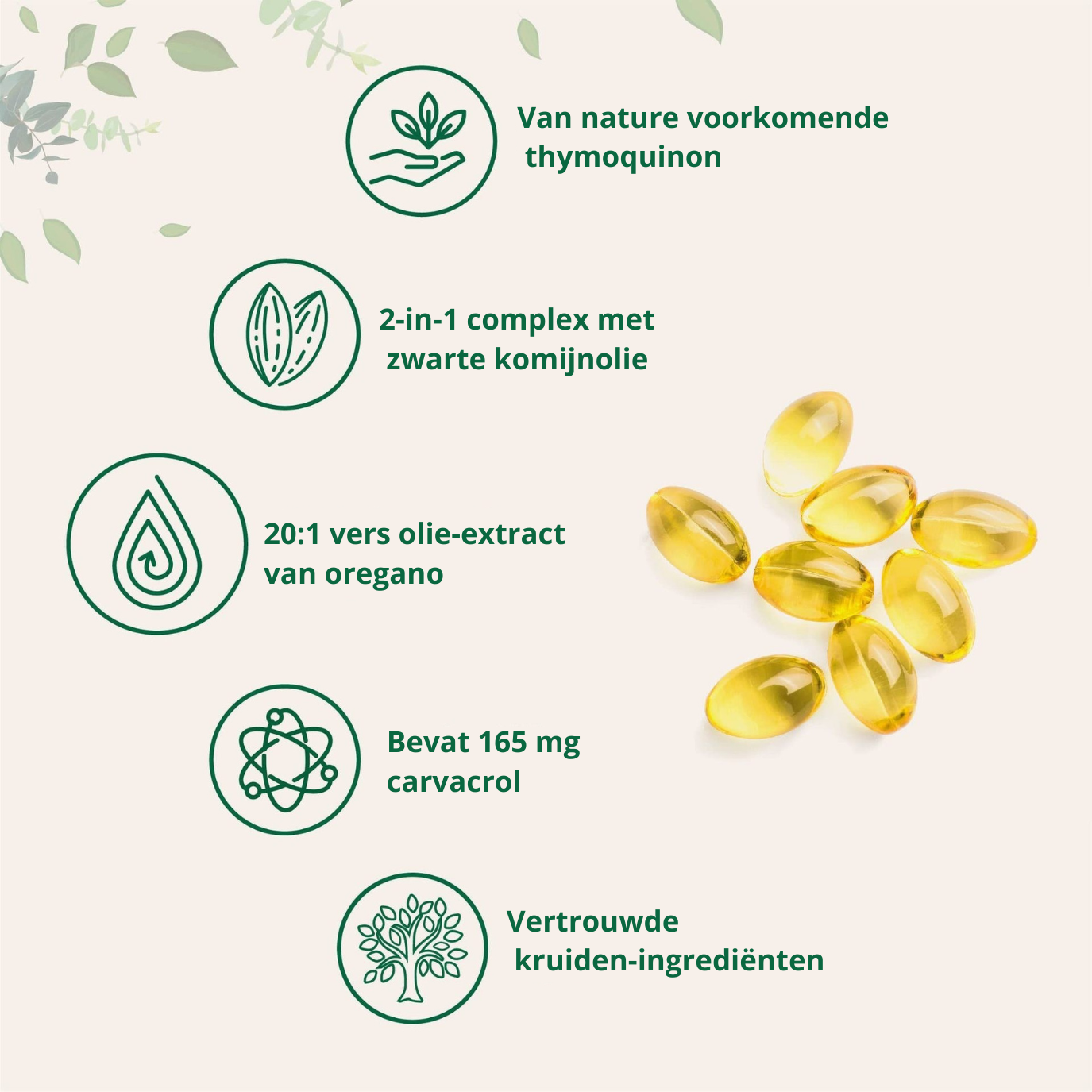 60 Capsules of Oregano Oil Soft Capsules